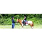 体験チケット 乗馬体験ご優待券