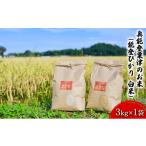ふるさと納税 米 コシヒカリ 石川県 珠洲市  No.5984-0087 令和7年度産 奥能登粟津のお米（能登ひかり　白米）3kg×1袋