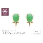 アクセサリー 甲府ジュエリー 〉クリソプレーズイヤリング