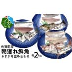 旬の鮮魚等 佐賀関産 朝獲れ鮮魚 おまかせ詰め合わせ 約2kg
