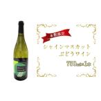 ふるさと納税 ワイン 白ワイン 青森県 鶴田町 No.5554-0120 シャインマスカットぶどうワイン 750ml×1本