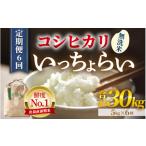 ショッピングふるさと納税 無洗米 ふるさと納税 福井県 あわら市 【令和5年産】《定期便6回》いっちょらい 無洗米 5kg（計30kg） ／ 福井県産 ブランド米 コシヒカリ ご飯 白米 新鮮 大賞 受賞