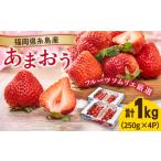 ふるさと納税 いちご 福岡県 糸島市 糸島産 春 あまおう 4パック 2026年2月上旬以降順次発送 《糸島》 南国フルーツ株式会社 AIK008