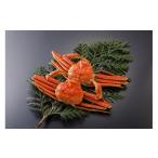 ふるさと納税 カニ 松葉ガニ 鳥取県 鳥取市 鳥取県産 訳あり茹で松葉がに2枚 中村商店