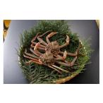 ふるさと納税 カニ 松葉ガニ 鳥取県 鳥取市 鳥取県産 訳あり生松葉がに2枚 中村商店