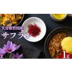 加工品等 竹田産サフラン 1g