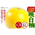 みかん 柑橘類 令和8年熊本地震復興支援