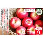 ふるさと納税 りんご 長野県 飯綱町 りんご 紅玉 訳あり 9kg 松澤農園 沖縄県への配送不可 2025年9月下旬頃から2025年10月上旬頃まで順次発送予定 令和7年度収…