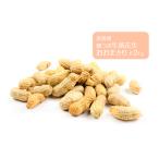 豆類 落花生 殻つき生落花生 おおまさり 2kg