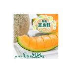 ふるさと納税 メロン メロン赤肉 北海道 富良野市  2026年発送 北海道富良野メロン『厳選』BIGサイズ1玉(約2.5kg)_ メロン 果物 くだもの フルーツ 北海道 富…