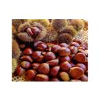 fu.... налог фрукты вид каштан Kumamoto префектура .. блок предшествующий предварительный заказ . мир 8 год 9 месяц c рассылка предположительно Kumamoto префектура .. блок производство * сверху рисовое поле san. мир каштан L~3L. 2kg -..kli каштан сырой каштан 2kg нет пестициды страна...