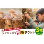 体験チケット きのこ狩り体験チケット×3枚 300g
