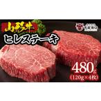 牛肉 ヒレ 山形牛ヒレステーキ 120g×4枚