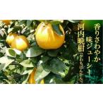 ふるさと納税 みかん�