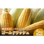 ふるさと納税 とうもろこし 群馬県 富岡市  2026年先行予約 農家直送 こだわりトウモロコシ 5kg（12本〜15本）ゴールドラッシュ とうもろこし トウモロコシ 野…