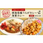 お食事券 掃海母艦うらがカレー 海軍カレー