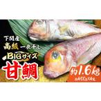 魚貝類 鯛 大きいサイズ 甘鯛の一夜干し4尾
