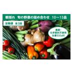 栽培期間中に農薬不使用の生姜200gと旬の野菜詰め合わせ10~…