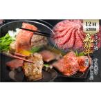 牛肉 ロース 定期便 全12回 飛騨牛 5等級