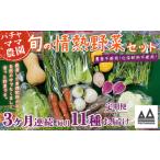 セット 詰合せ 3ヶ月連続お届け 農園自慢の情熱野菜セット …