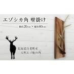 インテリア エゾシカ角 壁掛け 横約20cm×縦約60cm