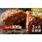FKK19-225_ あか牛100%ハンバーグ 100g×10個