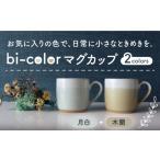食器 グラス マグカップ 美濃焼 bi-color