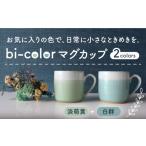 食器 グラス マグカップ 美濃焼 bi-color