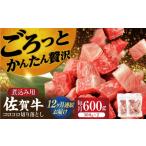 牛肉 ロース 12回定期便 佐賀牛 うすぎり 計600g