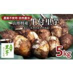 人参 大根 他根菜 特選 山形名物 土付里芋 5kg