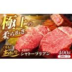 牛肉 ヒレ くまもと あか牛 シャトーブリアン 200g×2枚