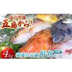旬の鮮魚等 朝獲れ高級鮮魚セット4kg
