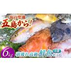 旬の鮮魚等 朝獲れ高級鮮魚セット6kg 五島列島直送 鯛福丸水産 PDP004 鮮魚BOX 詰め合わせ