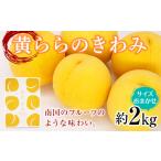 ふるさと納税 山形県 南陽市 【令和6年産先行予約】 黄桃 「黄ららのきわみ」 サイズお任せ約2kg (6〜12玉)  《令和6年9月中旬〜発送》 『南陽中央青果市場』 …