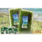 のり 海藻 古宇利島産の天然生アーサ100g 50g×2パック