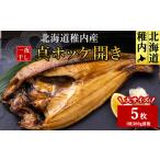 ふるさと納税 乾物 こんぶ 北海道 稚内市  12月23日決済分まで年内発送 稚内産真ホッケ開き一夜干し5枚セット