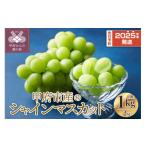 ショッピングシャインマスカット ふるさと納税 山梨県 甲府市 【先行予約・数量限定】〈2024年度配送分〉甲府市産　シャインマスカット　2房（1kg以上）【2024年8月下旬以降発送】