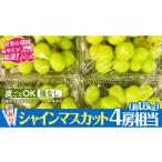 田舎の頑固おやじが厳選 シャインマスカット4房相当 約1.6kg