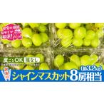 田舎の頑固おやじが厳選 シャインマスカット8房相当 約3.2kg