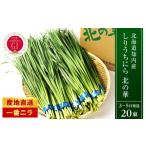 知内産 一番ニラ 北の華 20束