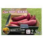 野菜類 サツマイモ 大洗産 さつまいも 紅はるか 2.5kg