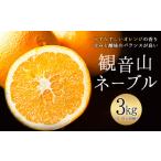 みかん 柑橘類 ネーブル 観音山ネーブル 3kg