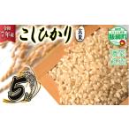 ふるさと納税 玄米 長野県 飯綱町 米 こしひかり ( 玄米 ) 5kg ( 令和7年産 ) 沖縄県への配送不可 2025年10月上旬頃から順次発送予定 米澤商店 コシヒカリ 玄…