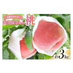 ふるさと納税 もも 山梨県 韮崎市  2026年発送 桃 もも モモ 大久保さんの桃 約3.0kgフルーツ 果物 くだもの 3キロ 山梨県産 産地直送 季節限定 期間限定 農園…