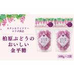 和菓子 柏原のマスカットベリーAから美味しい金平糖が生ま…