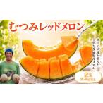 メロン メロン赤肉 2027年 赤肉 1.2kg以上×2玉