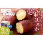 野菜類 サツマイモ 2027年明け発送 訳あり
