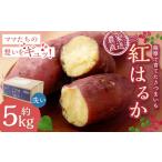 野菜類 サツマイモ 2026年内発送 訳あり