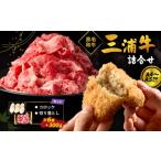 牛肉 三浦牛切り落とし 三浦牛コロッケ詰め合わせセット