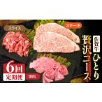 牛肉 サーロイン 全6回定期便 1ヶ月に1度の佐賀牛ひとり贅…